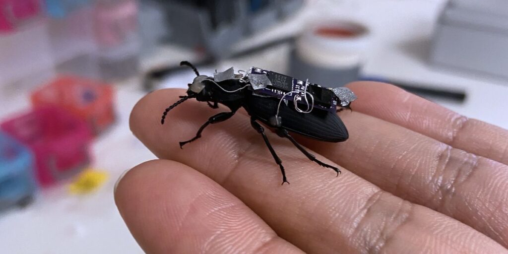 Watch: Cyborg Beetles, Open Source Humanoids, More