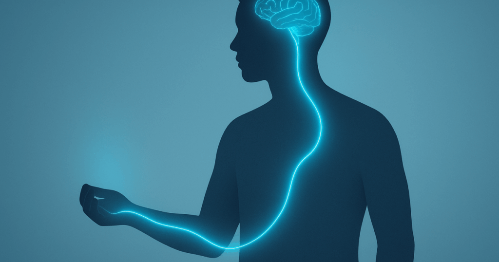 Scientists uncover how skin senses cool temperatures