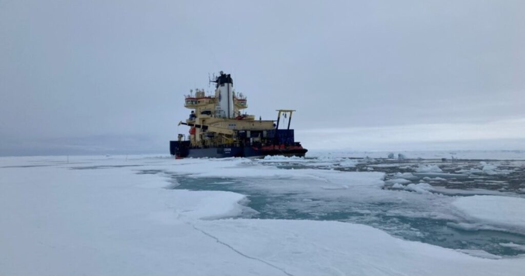 Arctic microbes fix nitrogen under sea ice, fueling ocean life