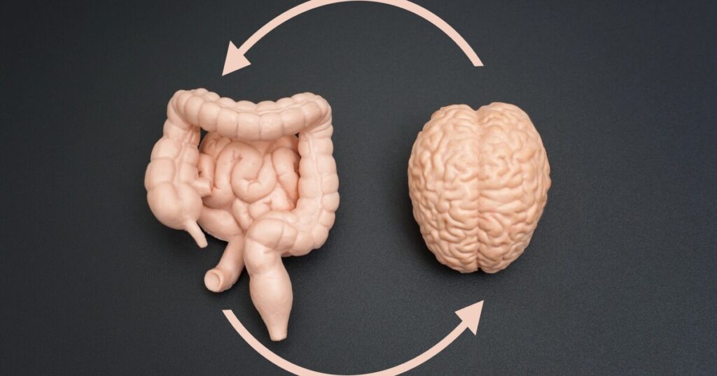 New device records signals between the gut and brain