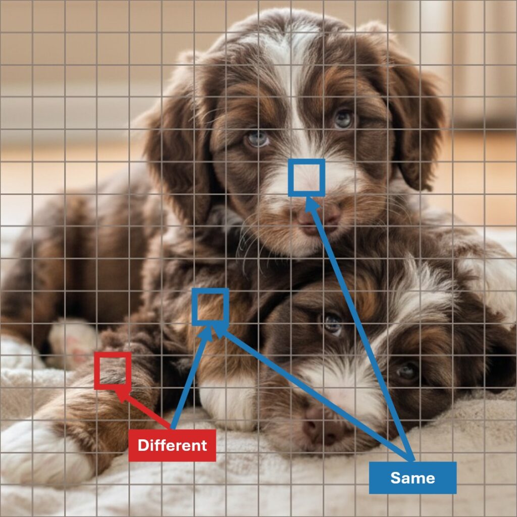 Do Labels Make AI Blind? Self-Supervision Solves the Age-Old Binding Problem