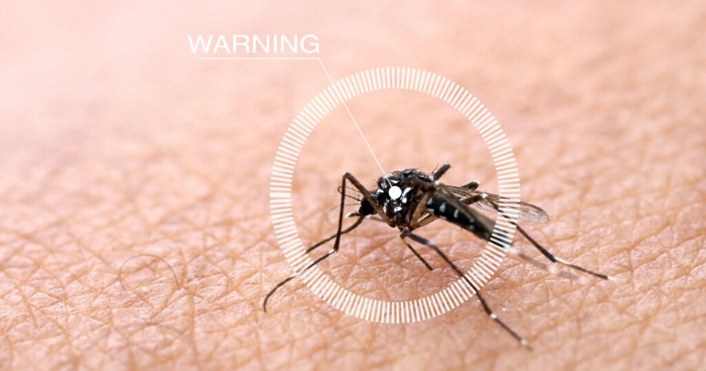 Antiviral drug shows promise for dengue treatment