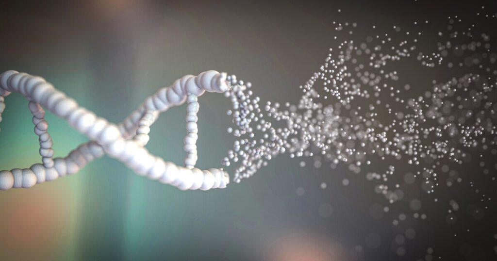 New sensor offers a real-time window into DNA repair