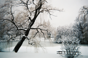 NYC snowfall sees millions of dollars traded on prediction markets
