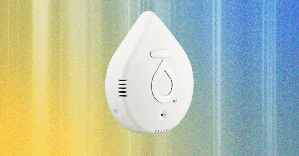 5 Best Water Leak Detectors (2026), Tested and Reviewed