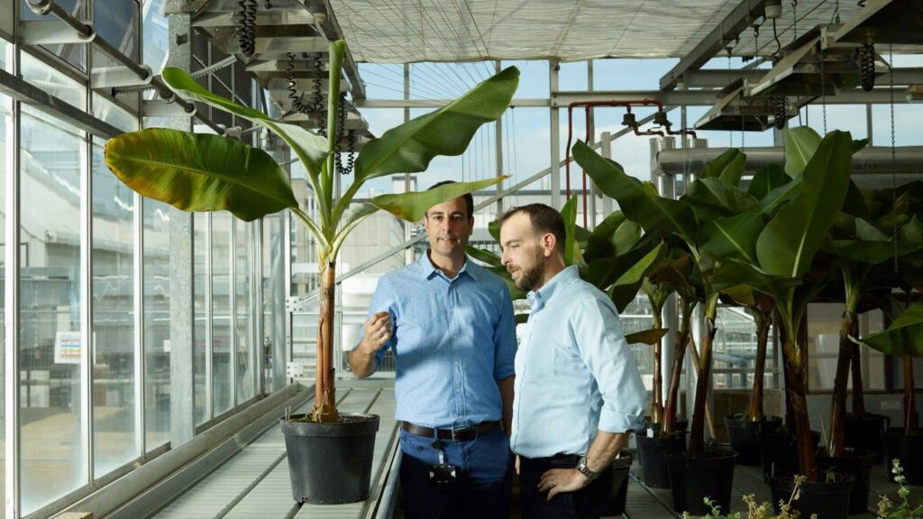 UK AgTech startup Tropic secures €91.3 million to bring gene-edited bananas and climate-resilient crops to market