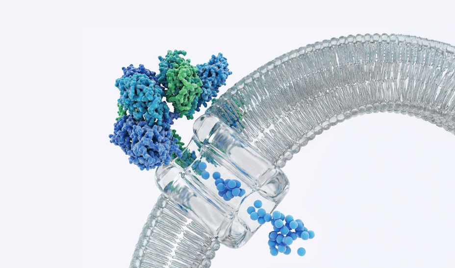 German BioTech iDEL Therapeutics lands €9 million to develop cancer therapeutics platform
