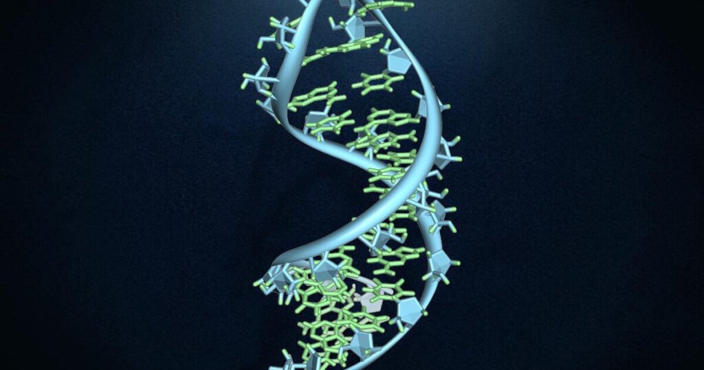 Scientists demonstrate simple RNA replication for origin of life