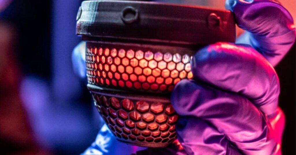 Colossal’s artificial egg: de-extinction innovation or hype?