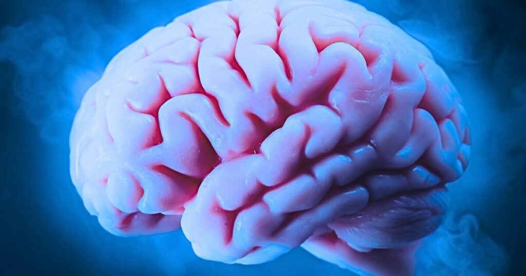 Doctors ponder brain freezing future for life extension