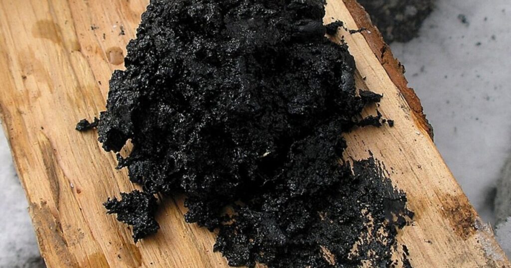 Neanderthals used birch tar as antibiotic medicine